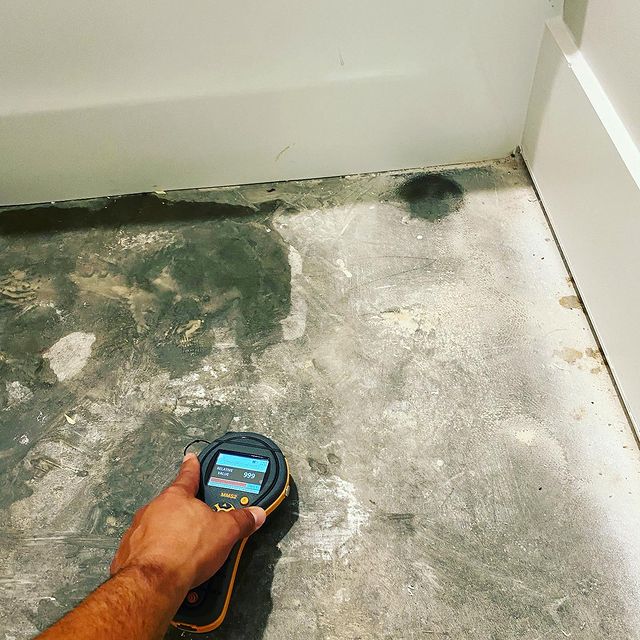 mold on the floor