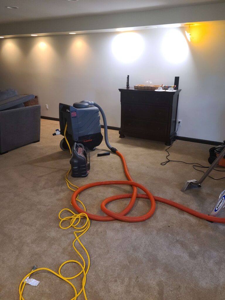cleaning the carpet and dehumidifying a room