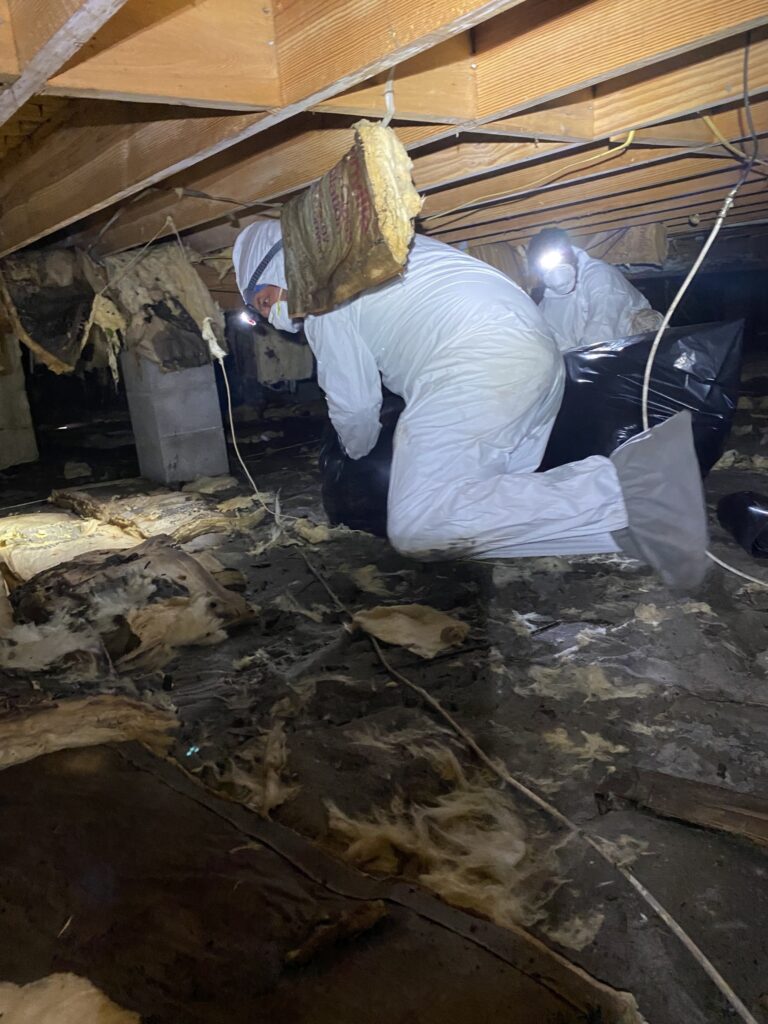 flooded basement clean up 
